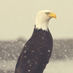 Meet your Posher, Logan